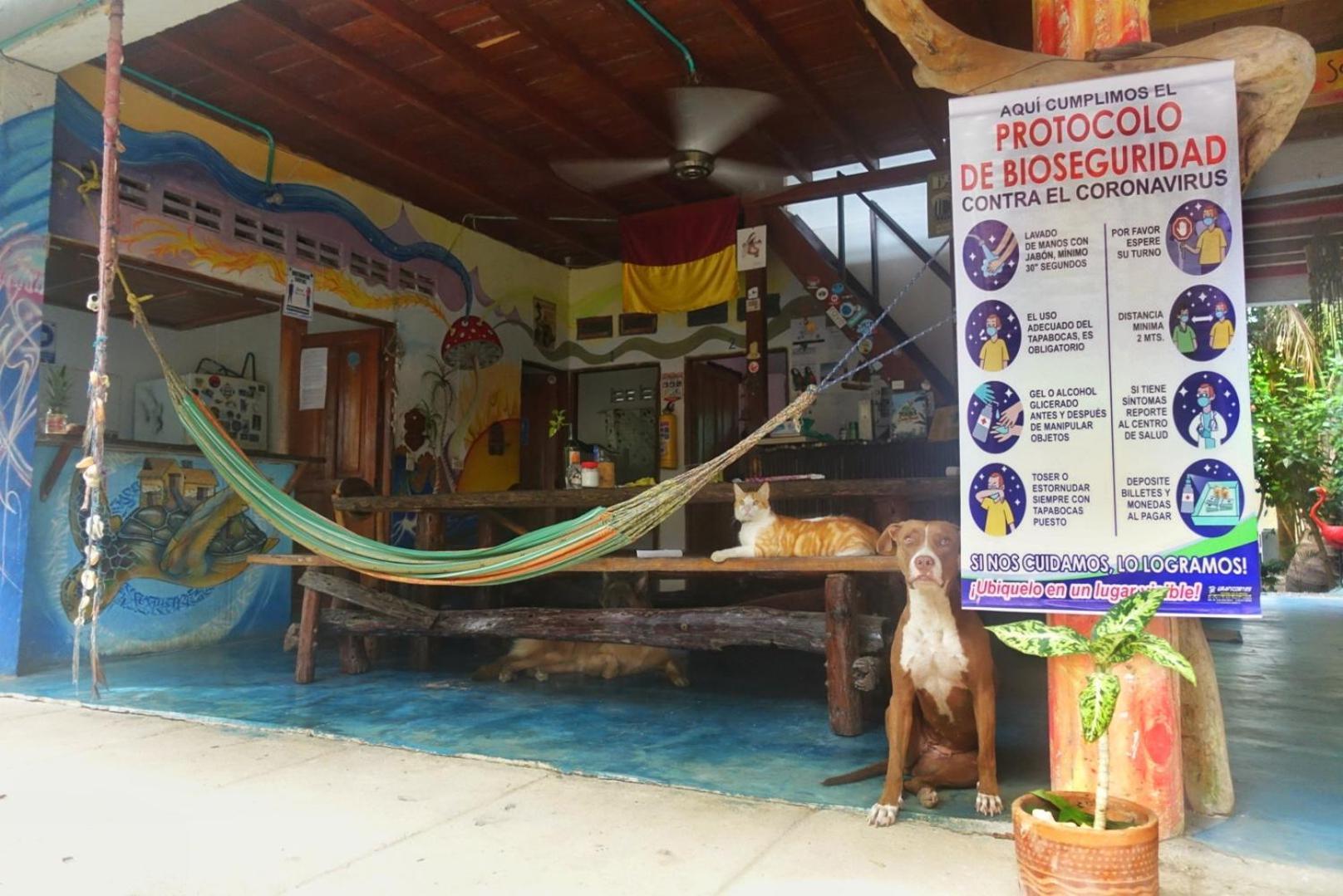 Casa Surf Mar Azul 호텔 팔로미노 외부 사진